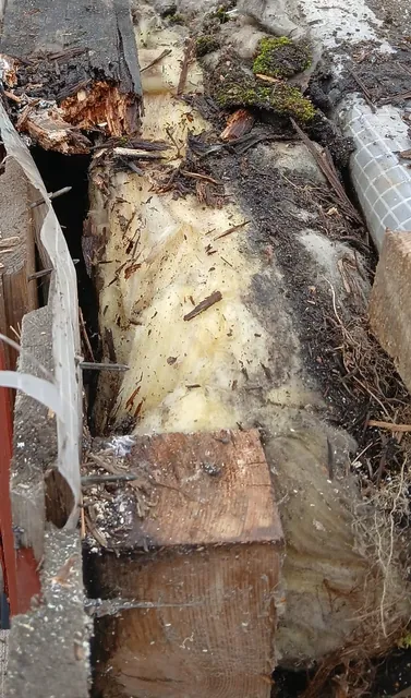 Skadad detalj vid takkupan där vatten har tagit sig in